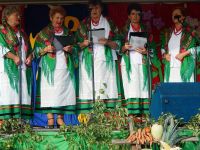 Wykopki 2015