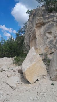 Dzień Dziecka