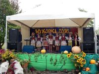 Wykopki 2016