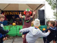 Wykopki 2016