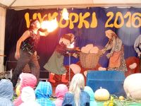 Wykopki 2016