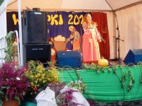 Wykopki 2016
