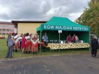 Wykopki 2026 w Majdanie Nepryskim