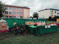 Wykopki 2026 w Majdanie Nepryskim