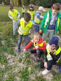 Projekt edukacyjny