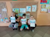 SP Majdan Nepryski