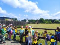 Wycieczka do ZOO