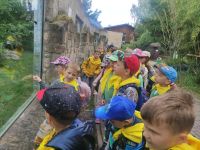 Wycieczka do ZOO