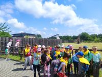 Wycieczka do ZOO