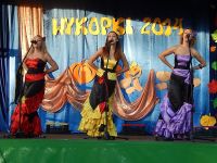 Wykopki 2014