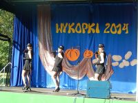 Wykopki 2014
