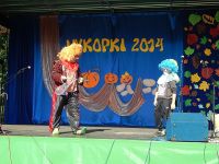 Wykopki 2014