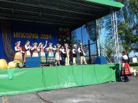 Wykopki 2014