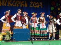 Wykopki 2014