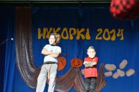 Wykopki 2014