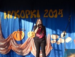Festyn Rodzinny Wykopki 2014