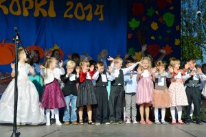 Festyn Rodzinny Wykopki 2014